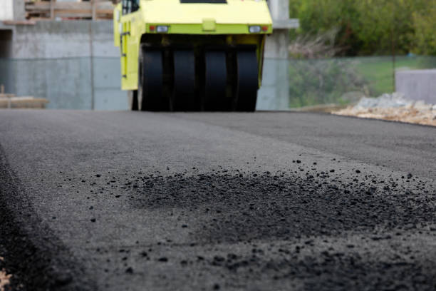 Best Local Driveway Pavers  in Mount Pulaski, IL